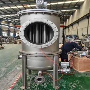 Automatic Back Flushing Filter